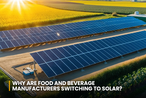 Why are Food and Beverage Manufacturers Switching to Solar in Pakistan