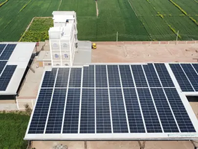 Afzal Shah Flour Mills