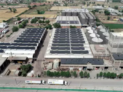 Kashmir Feeds (Pvt.) Ltd